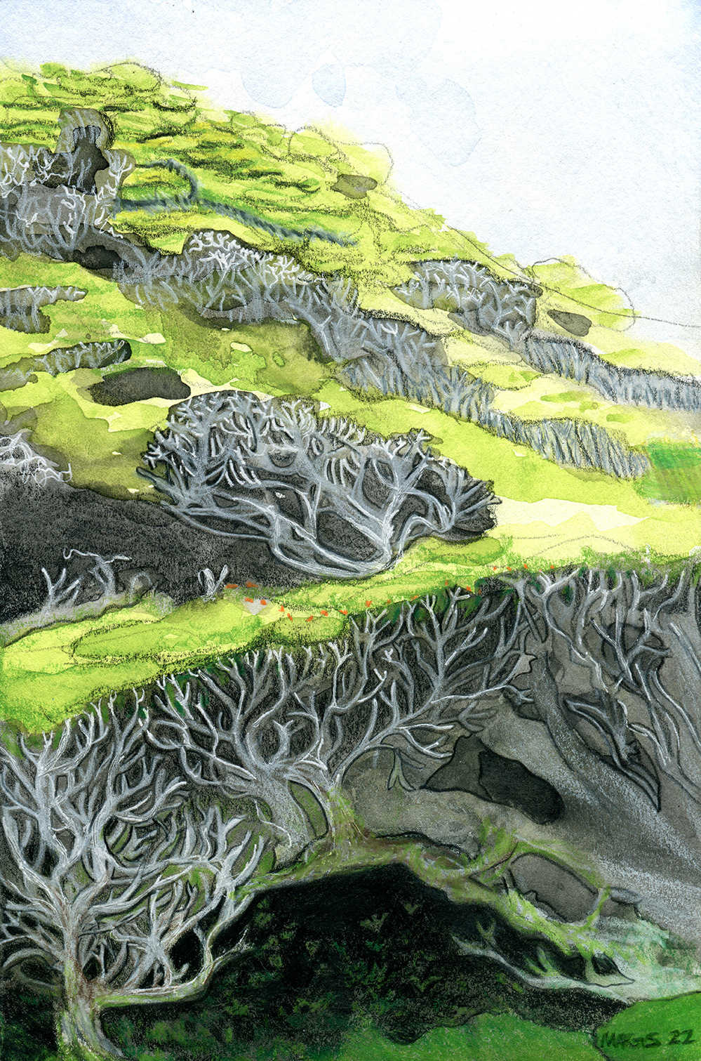 A forest painted with watercolors and drawn with colored pencils.